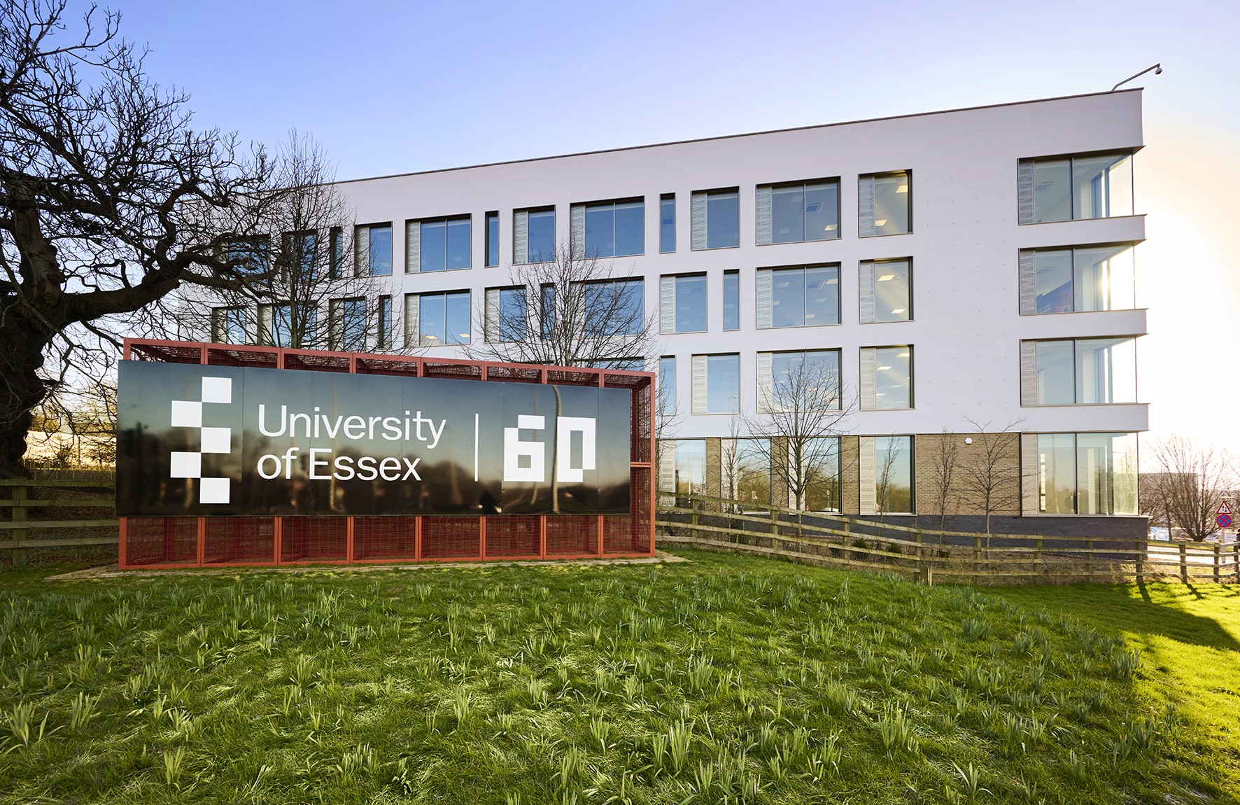 University of Essex Online Programs in Qatar